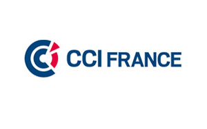 Logo de la CRCI d'Île-de-France